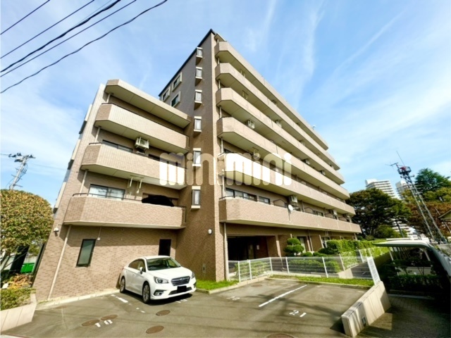 ���s�n���S��k���@�͌����w�i�k��7���j