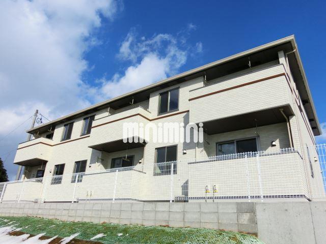 ���s�n���S��k���@�򒆉��w�i�o�X40�� �E�g���㒬��A �k��19���j