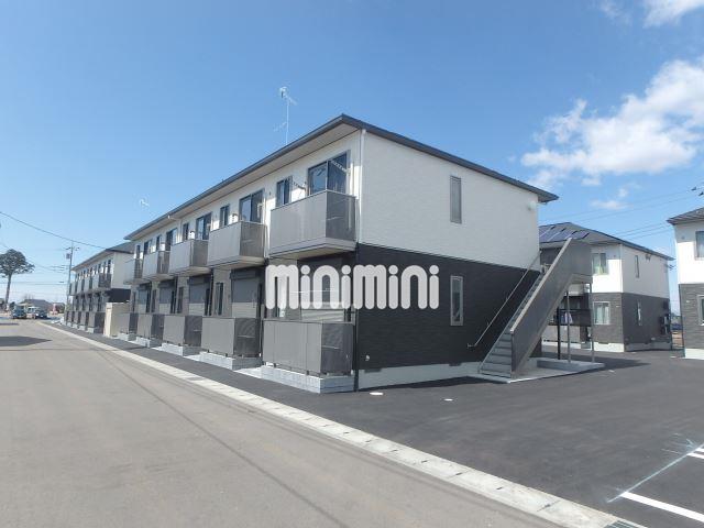 �F�s�{�F�ꃉ�C�g���[�����@�䂢�̓m�����w�i�k��11���j