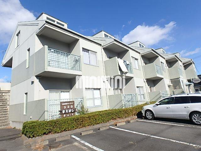 �Q�n���O���s�~�����Q�c�j