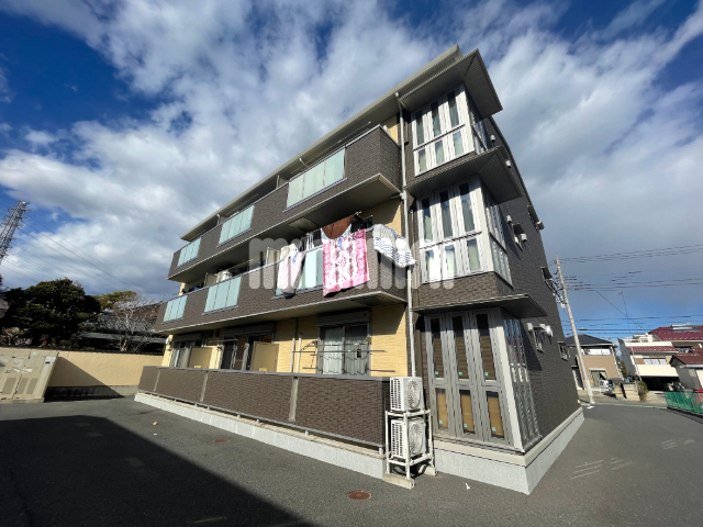 �Q�n������s�������Q���ڂQ�k�c�j