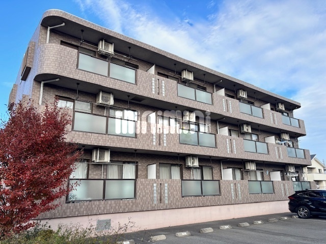 �Q�n���ɐ���s�A�挳���P�k�c�j