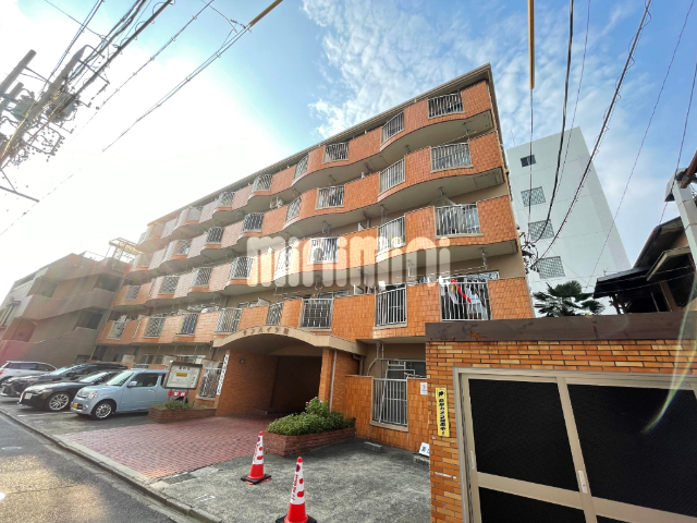 Sq@ѓcwik3jAnSѓc@ѓcwik3j