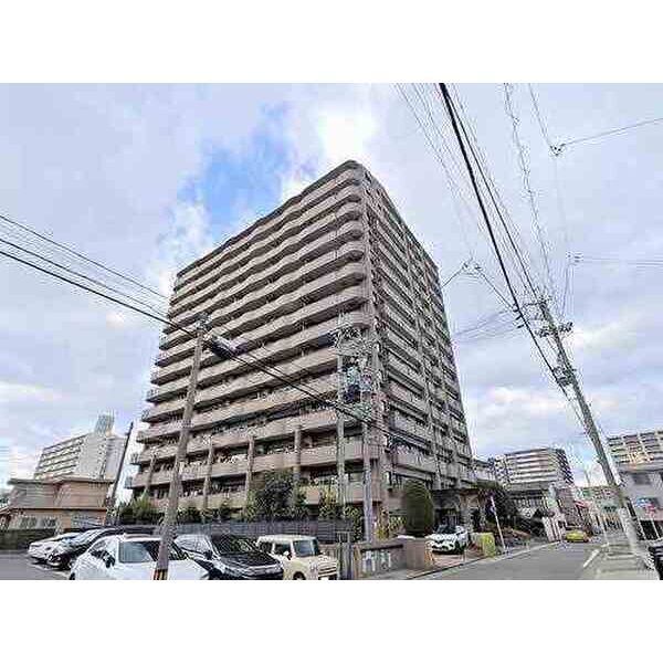 ���C���{���@�������w�i�k��10���j