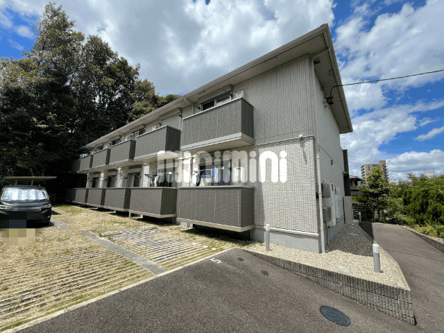 �n���S������@�������ԉw�i�k��8���j