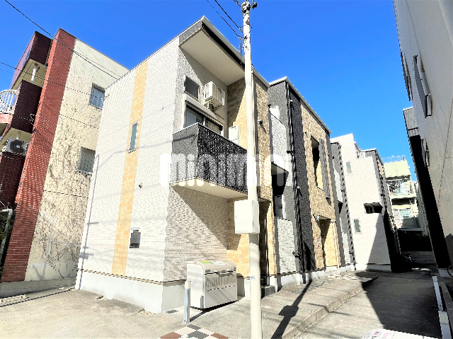 �n���S���ʐ��@����w�i�k��11���j