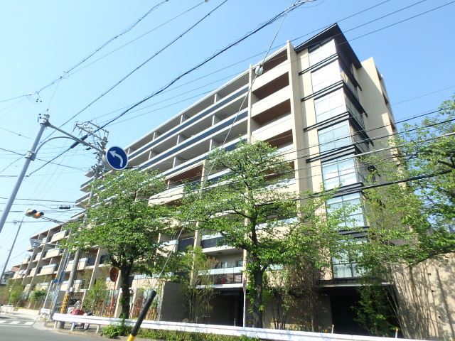 �n���S���ʐ��@���������w�i�k��11���j