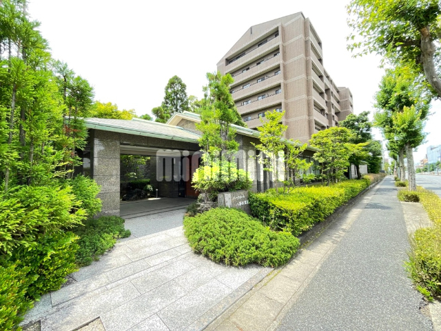 �n���S������@�������n�r���Z���^�[�w�i�k��6���j