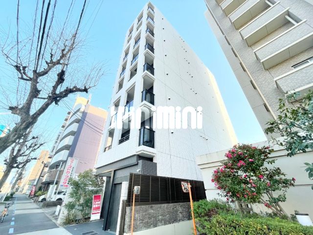 �n���S���ʐ��@�V�����w�i�k��8���j