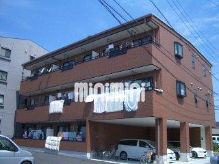 �o�X�E�O��������i�k��5���j