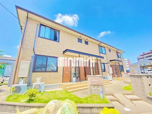 �o�X�E�r���q�ʒ�i�k��3���j