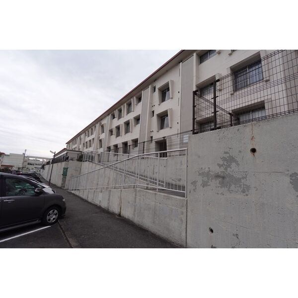 �n���S���ʐ��@����w�i�k��10���j