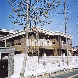 ���S���É��{���@�C�w�i�k��34���j