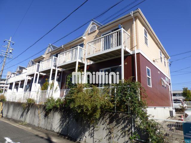 ���S���É��{���@�L���w�i�k��30���j