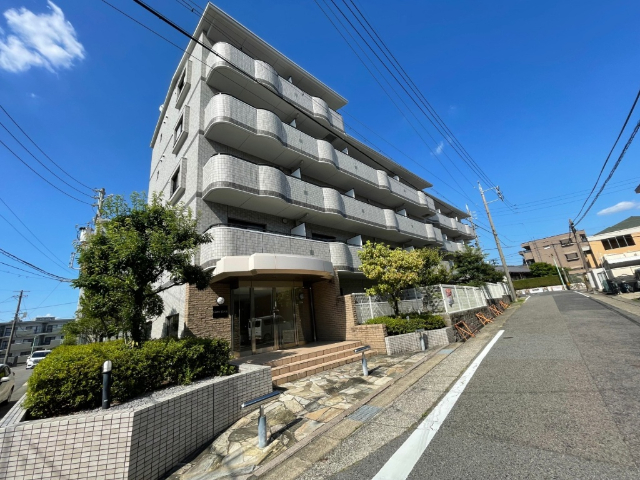 ���m�����É��s������󂪋u�P�q