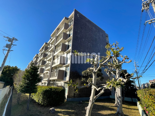 ���m�����É��s������Ќ��P���ڂR�k�c�j