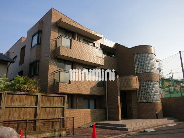 �n���S������@�����w�i�k��20���j