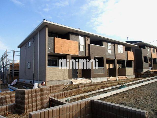 �I�X�X�������ʐ^