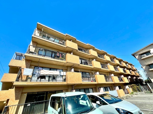 �n���S���ʐ��@�����R�w�i�k��29���j