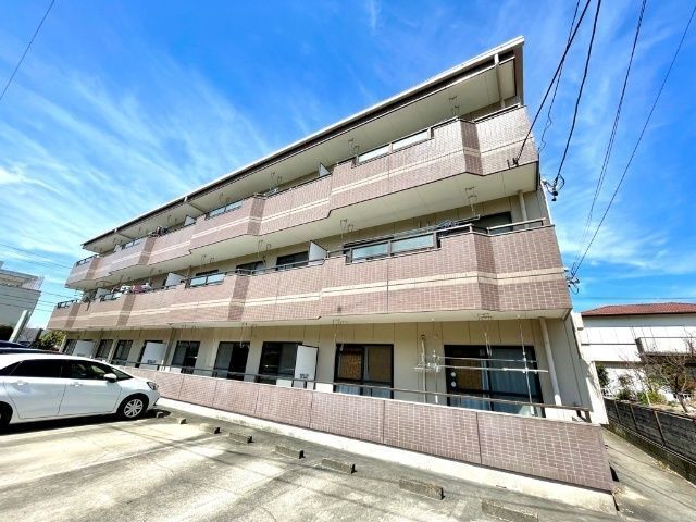 �n���S�ߕ����@���w�i�k��18���j