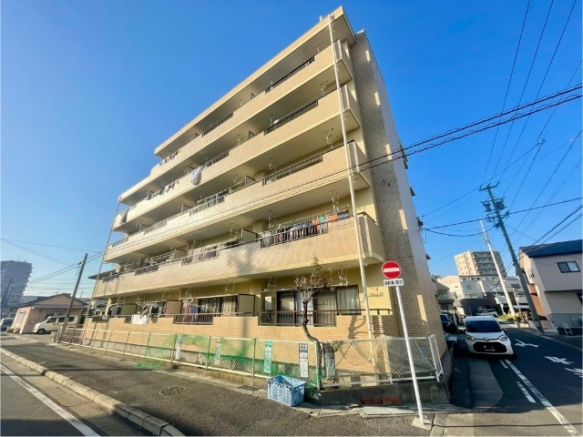 �n���S�ߕ����@�A�c�w�i�k��13���j