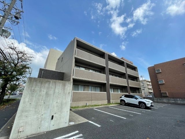 �I�X�X�������ʐ^