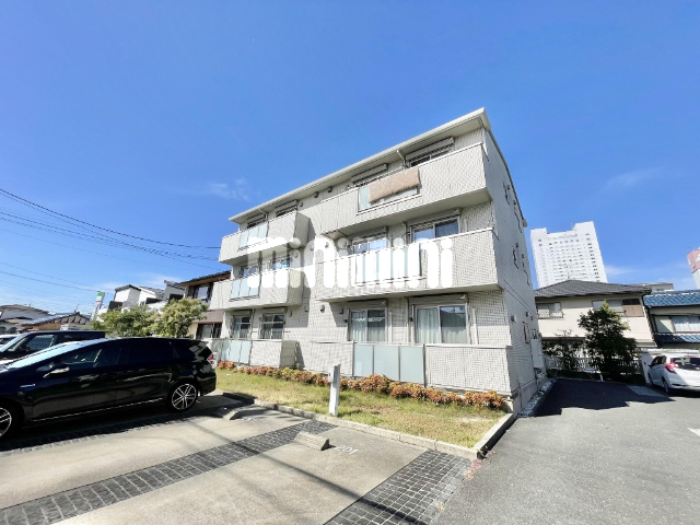 ���C���{���@�L���w�i�k��40���j