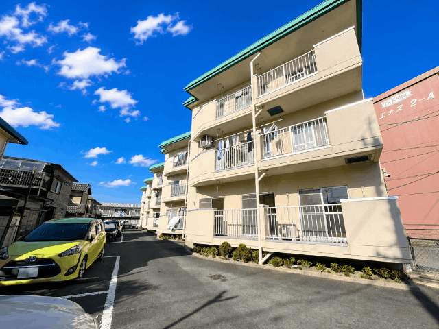���C���E�R�z�V�����@�L���w�i�k��19���j�A�L���S���������@�V�L���w�i�k��23���j