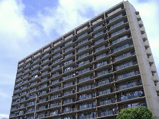 ���C���E�R�z�V�����@�L���w�i�k��23���j