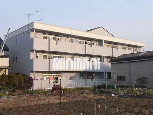 ���m����{�s���a�Q���ڂR�k�c�j