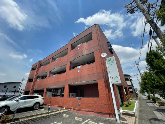���S���É��{���@���S��{�w�i�o�X15�� �E���񂢈꒚�ڒ�A �k��10���j�A���C���{���@������{�w�i�k��38���j