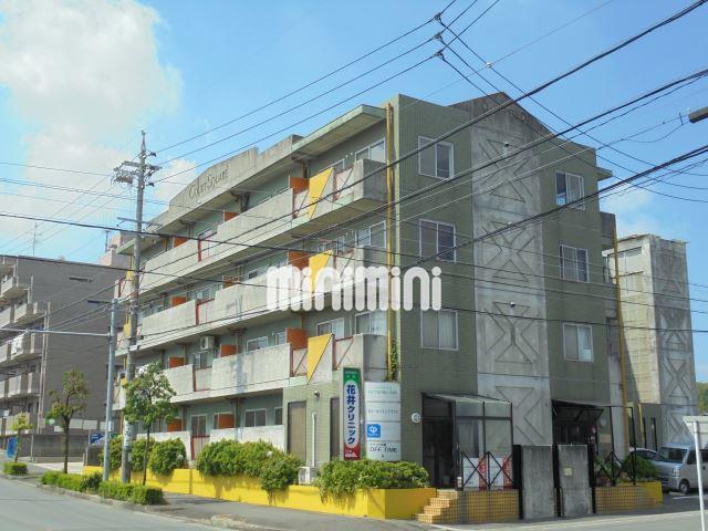 ���m�����c�s�R�S���ڂP�k�c�j