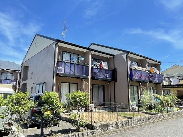 �����{���@�_�̉w�i�k��29���j