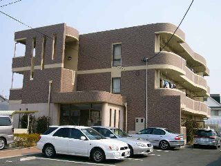 ���S���É��{���@�ɓމw�i�k��30���j