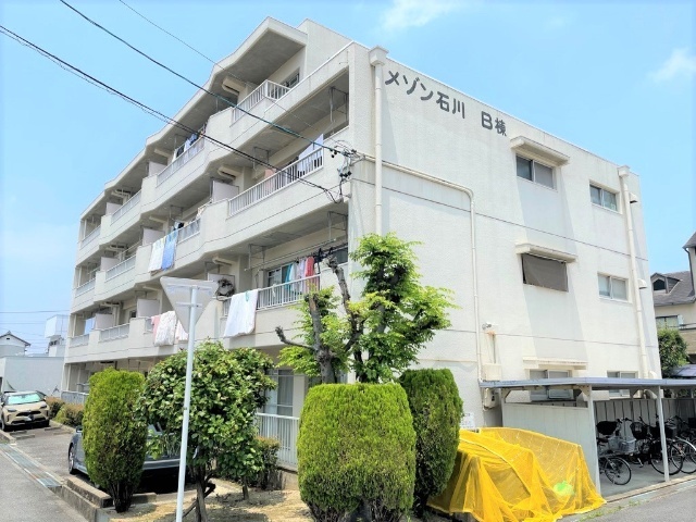 ���C���{���@���ȉw�i�k��25���j