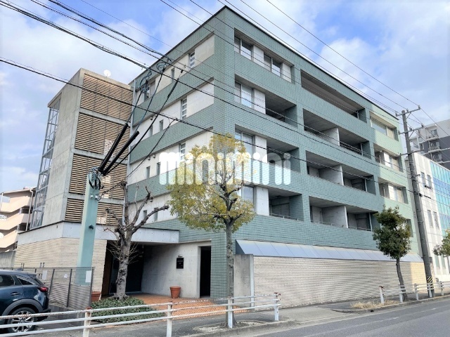 ���C���{���@�O�͈���w�i�k��26���j