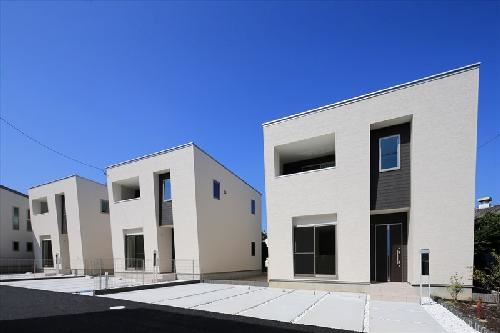 ���S�O�͐��@�y���w�i�k��12���j