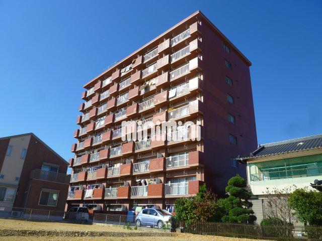 ���S�L�c���@�򐅉w�i�k��6���j