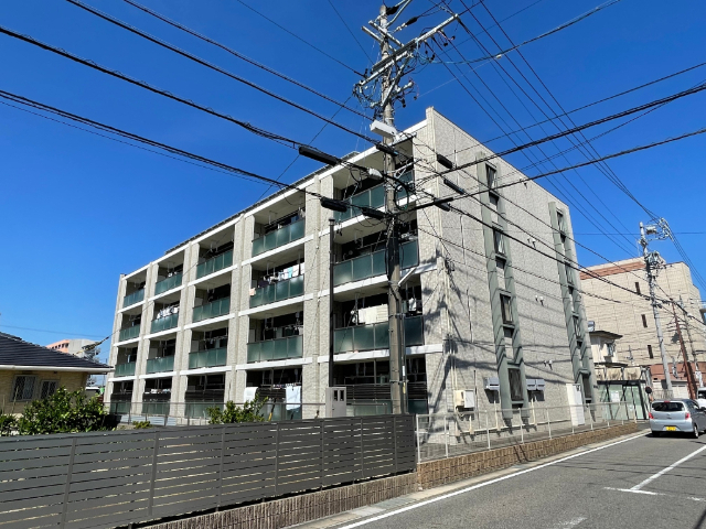 ���S�L�c���@�򐅉w�i�k��6���j