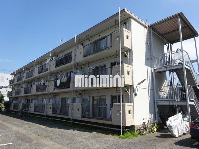 ���m��S���@�O�͖L�c�w�i�k��20���j