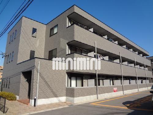 ���S�O�͐��@�y���w�i�k��17���j