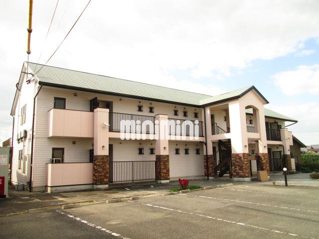 ���m������s�ԏ����V���~�Q�k�c�j