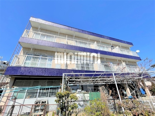 �I�X�X�������ʐ^