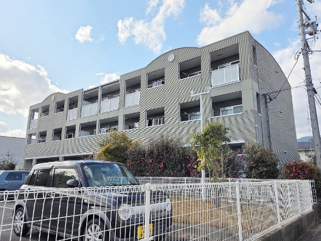 �ѓc���@�V��w�i�k��30���j