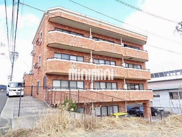 ���S�튊���@�ڊy���w�i�k��19���j