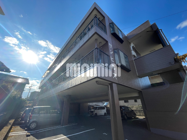 ���S�튊���@�ēc�w�i�k��29���j