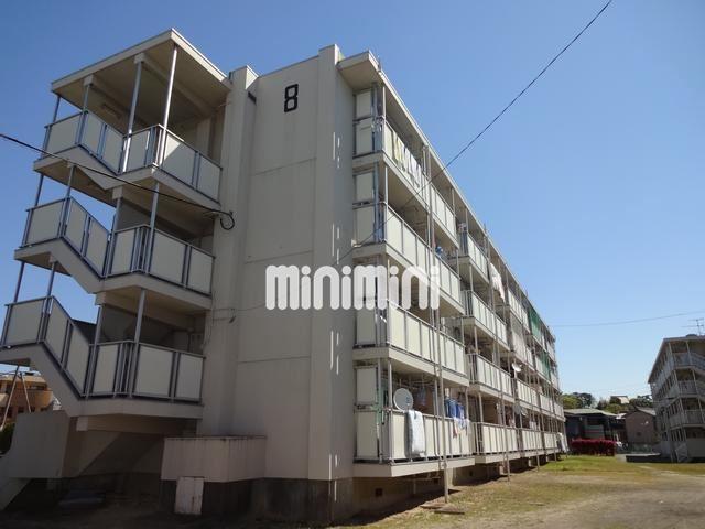 ���S�튊���@�V���S�O�w�i�k��36���j