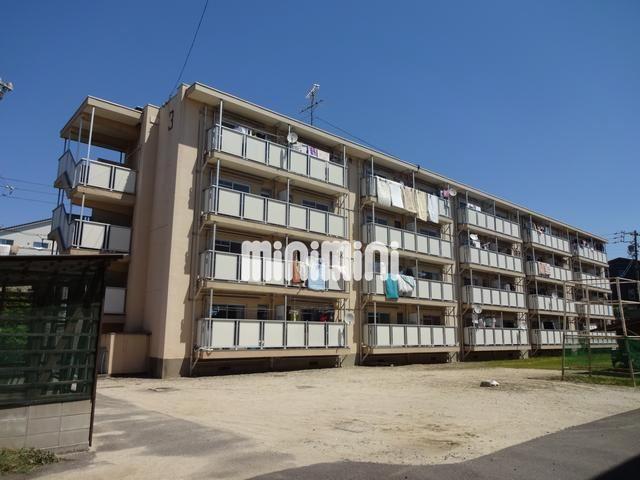 ���S�튊���@�V���S�O�w�i�k��41���j