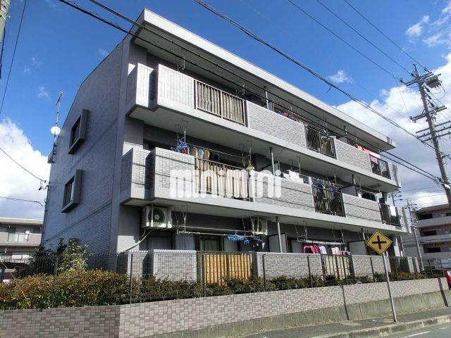 ���S�튊���@�V���S�O�w�i�k��12���j