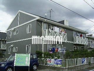 ���S�튊���@���{�w�i�k��13���j